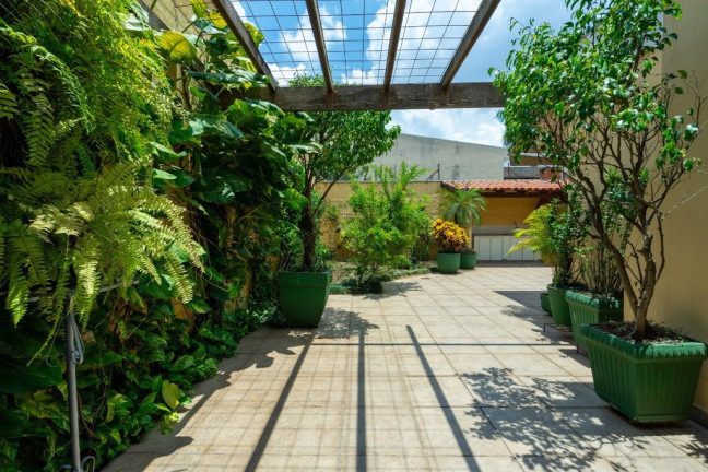 Imagem Casa com 4 Quartos à Venda, 375 m² em Moema - São Paulo