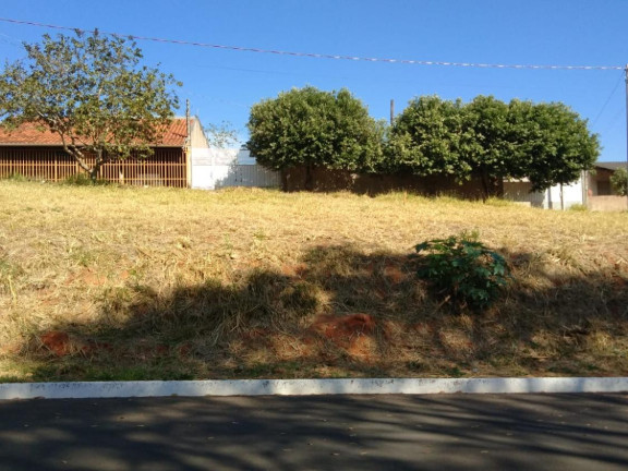 Imagem Terreno à Venda, 125 m² em Centro - Getulina Imagem Terreno à Venda, 125 m² em Centro - Getulina