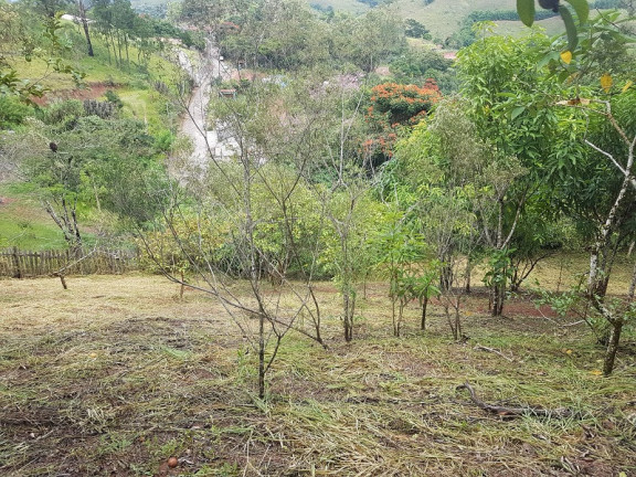Imagem Imóvel à Venda, em Redenção Da Serra Imagem Imóvel à Venda, em Redenção Da Serra