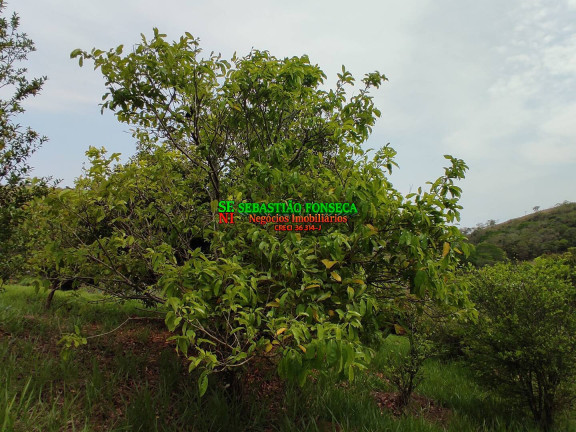 Imagem Chácara à Venda, 20.000 m² em área Rural De Caçapava - Caçapava Imagem Chácara à Venda, 20.000 m² em área Rural De Caçapava - Caçapava