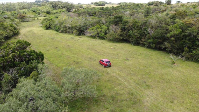 Imagem Chácara à Venda, 2.000 m² em Fiuza - Viamão Imagem Chácara à Venda, 2.000 m² em Fiuza - Viamão