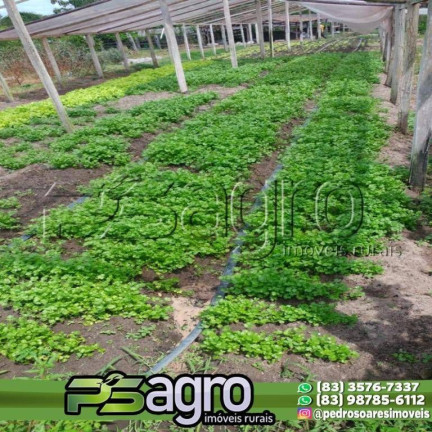 Imagem Fazenda à Venda, 45.000.000 m² em Alto Do Pinho - São Luís Imagem Fazenda à Venda, 45.000.000 m² em Alto Do Pinho - São Luís