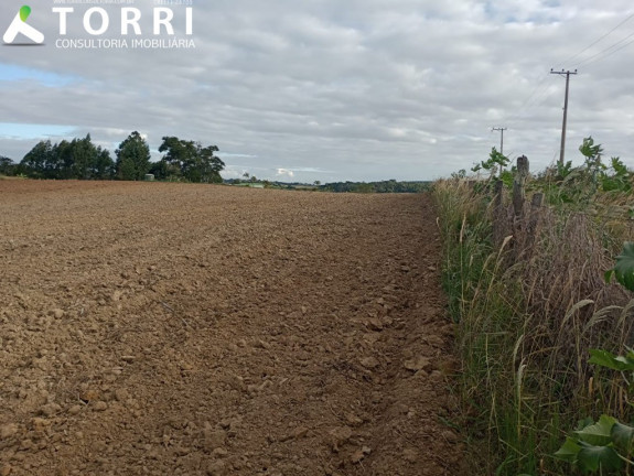 Imagem Terreno à Venda, 20.000 m² em Alto Grande - Araçoiaba Da Serra Imagem Terreno à Venda, 20.000 m² em Alto Grande - Araçoiaba Da Serra