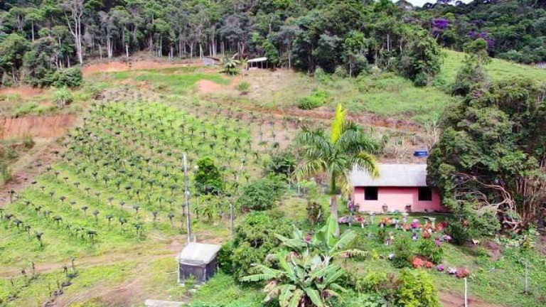 Imagem Chácara com 3 Quartos à Venda, 20 m² em Campo Do Coelho - Nova Friburgo