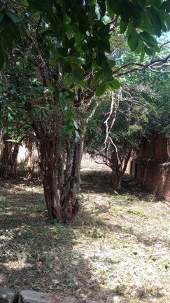Imagem Terreno à Venda, 416 m² em Centro - Pirassununga Imagem Terreno à Venda, 416 m² em Centro - Pirassununga