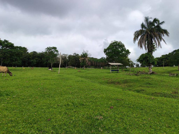 Chácara à Venda, 4 m² em Zona Rural - Anicuns