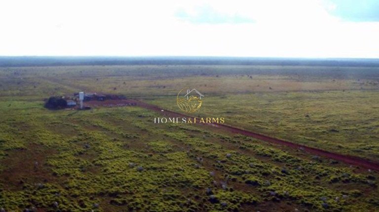 Imagem Imóvel com 4 Quartos à Venda, 103.000 m² em Zona Rural - Porto Alegre Do Norte Imagem Imóvel com 4 Quartos à Venda, 103.000 m² em Zona Rural - Porto Alegre Do Norte