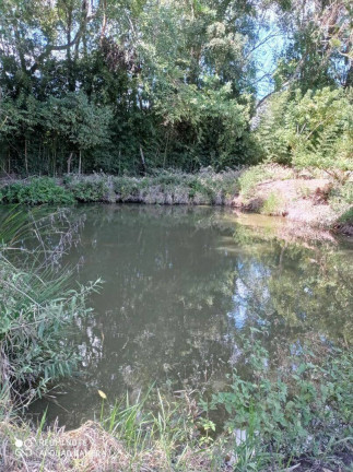 Imagem Fazenda à Venda, 11 m² em Zona Rural - Piedade Imagem Fazenda à Venda, 11 m² em Zona Rural - Piedade