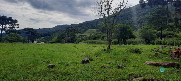 Imagem Imóvel à Venda, 130.932 m² em Zona Rural - Alfredo Wagner Imagem Imóvel à Venda, 130.932 m² em Zona Rural - Alfredo Wagner