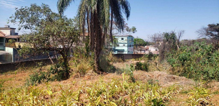 Imagem Terreno à Venda, 39.747 m² em Centro - Contagem Imagem Terreno à Venda, 39.747 m² em Centro - Contagem