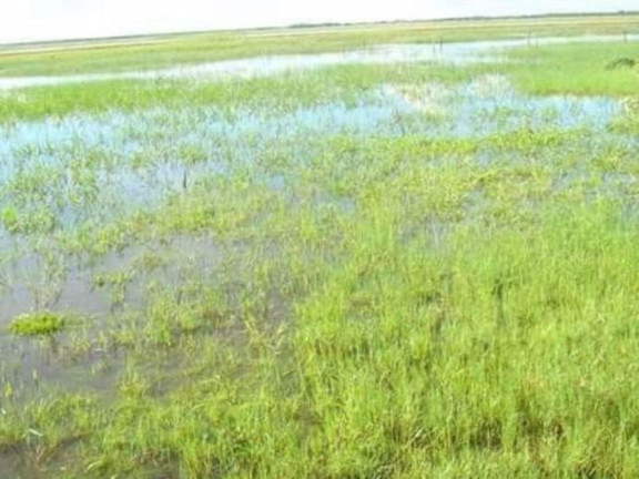 Imagem Fazenda à Venda, 200 m² em Zona Rural - Pilão Arcado Imagem Fazenda à Venda, 200 m² em Zona Rural - Pilão Arcado
