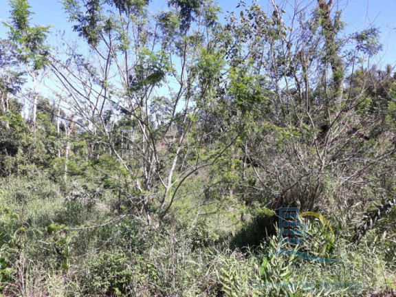 Imagem Terreno à Venda, 232.297 m² em Enseada - São Francisco Do Sul