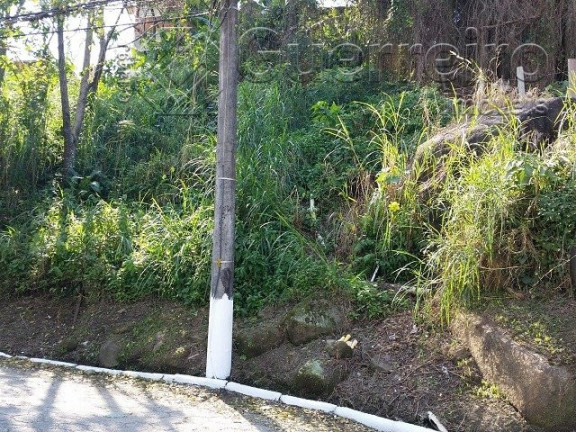 Imagem Terreno à Venda, 480 m² em Saco Grande - Florianópolis Imagem Terreno à Venda, 480 m² em Saco Grande - Florianópolis