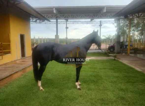 Imagem Fazenda à Venda, 23.000 m² em Novo Colorado - Cuiabá Imagem Fazenda à Venda, 23.000 m² em Novo Colorado - Cuiabá