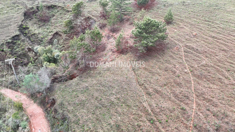 Imagem Terreno à Venda, 1.800 m² em Região De Descansópolis - Campos Do Jordão Imagem Terreno à Venda, 1.800 m² em Região De Descansópolis - Campos Do Jordão