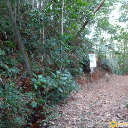 Terreno à Venda, 1.200 m² em Felix - Ubatuba
