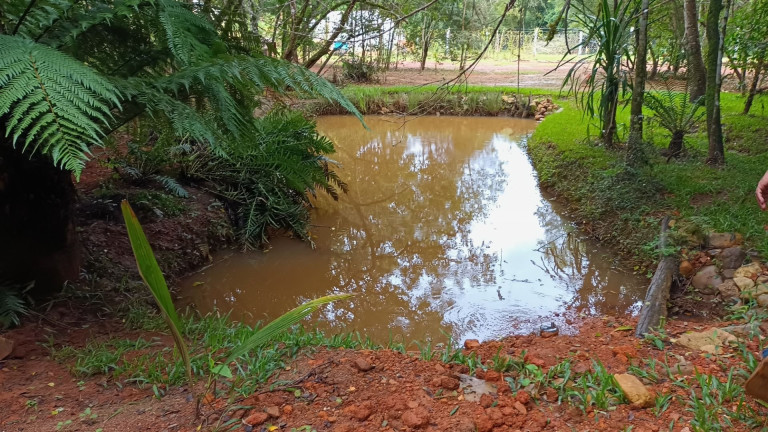 Imagem Fazenda à Venda, em Centro - Contenda Imagem Fazenda à Venda, em Centro - Contenda