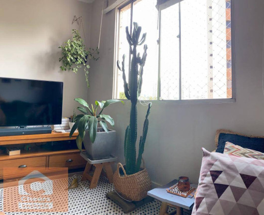 Imagem Apartamento com 3 Quartos à Venda, 69 m² em Vila Mariana - São Paulo Imagem Apartamento com 3 Quartos à Venda, 69 m² em Vila Mariana - São Paulo