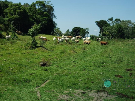 Imagem Imóvel à Venda, em Zona Rural - Bom Retiro Imagem Imóvel à Venda, em Zona Rural - Bom Retiro