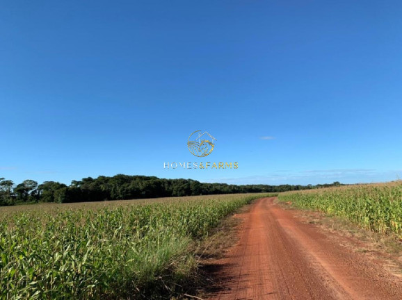 Imagem Imóvel com 3 Quartos à Venda, 3.700 m² em Centro - Nobres Imagem Imóvel com 3 Quartos à Venda, 3.700 m² em Centro - Nobres