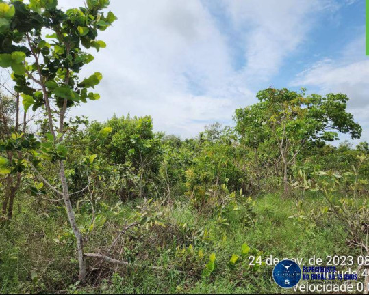 Imagem Fazenda à Venda, 3 m² em Zona Rural - Tesouro Imagem Fazenda à Venda, 3 m² em Zona Rural - Tesouro