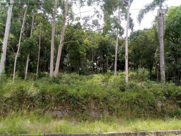 Terreno à Venda, 500 m² em Pousada Da Neve - Nova Petrópolis