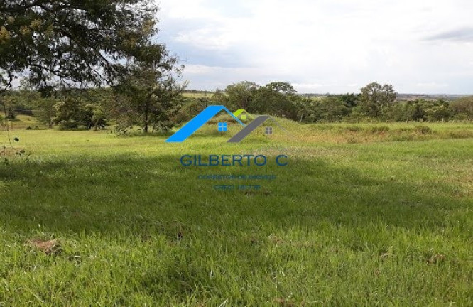 Imagem Imóvel à Venda, 7.685 m² em área Rural De Jacuba - Arealva Imagem Imóvel à Venda, 7.685 m² em área Rural De Jacuba - Arealva