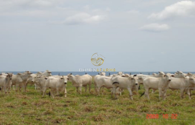 Imagem Imóvel com 3 Quartos à Venda, 7.546 m² em Zona Rural - Nobres Imagem Imóvel com 3 Quartos à Venda, 7.546 m² em Zona Rural - Nobres