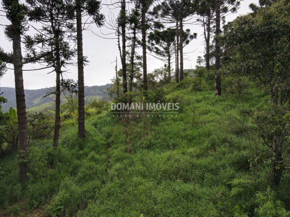 Imagem Terreno à Venda, 4.100 m² em Região Do Alpes De Campos Do Jordão - Campos Do Jordão Imagem Terreno à Venda, 4.100 m² em Região Do Alpes De Campos Do Jordão - Campos Do Jordão