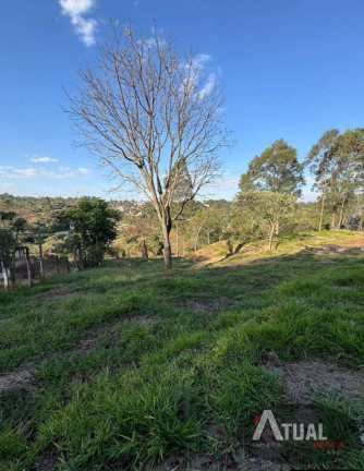 Imagem Casa com 5 Quartos à Venda, 6.672 m² em Canjica (terra Preta) - Mairiporã Imagem Casa com 5 Quartos à Venda, 6.672 m² em Canjica (terra Preta) - Mairiporã