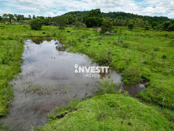 Imagem Fazenda à Venda, 145.200 m² em Trindade - Trindade