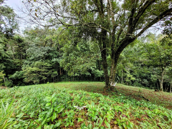 Imagem Chácara à Venda, 24.900 m² em Três Rios Do Norte - Jaraguá Do Sul