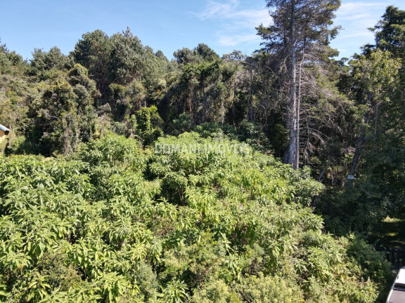 Imagem Terreno à Venda, 2.520 m² em Região Do Alto Da Boa Vista - Campos Do Jordão Imagem Terreno à Venda, 2.520 m² em Região Do Alto Da Boa Vista - Campos Do Jordão