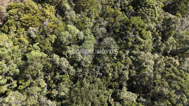 Imagem Terreno à Venda, 2.570 m² em Região De Capivari - Campos Do Jordão Imagem Terreno à Venda, 2.570 m² em Região De Capivari - Campos Do Jordão