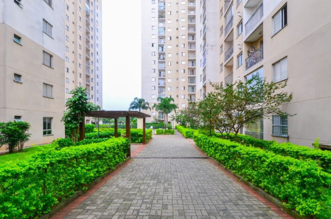 Imagem Apartamento com 2 Quartos à Venda, 54 m² em Vila Liviero - São Paulo