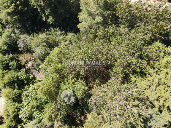 Imagem Terreno à Venda, 1.090 m² em Região Do Alto Do Capivari - Campos Do Jordão Imagem Terreno à Venda, 1.090 m² em Região Do Alto Do Capivari - Campos Do Jordão