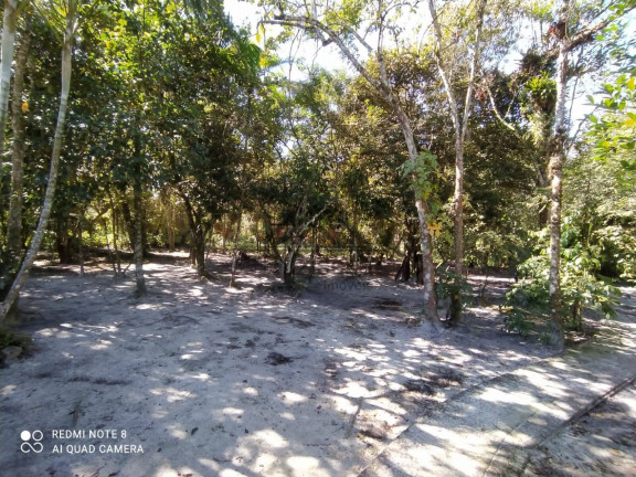 Imagem Chácara com 2 Quartos à Venda, 4.344 m² em Jardim Coronel - Itanhaém