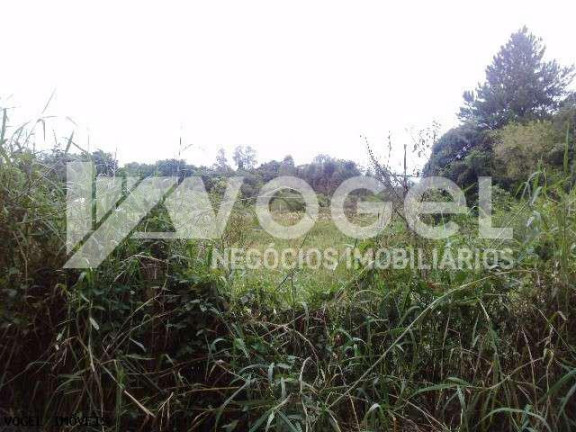 Imagem Imóvel à Venda, em Campestre - Sao Leopoldo Imagem Imóvel à Venda, em Campestre - Sao Leopoldo