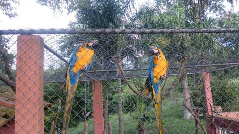 Imagem Imóvel à Venda, 300 m² em Tanquinho - Tatuí Imagem Imóvel à Venda, 300 m² em Tanquinho - Tatuí