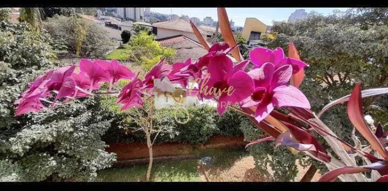 Imagem Apartamento com 2 Quartos à Venda, 39 m² em Jardim Umarizal - São Paulo Imagem Apartamento com 2 Quartos à Venda, 39 m² em Jardim Umarizal - São Paulo