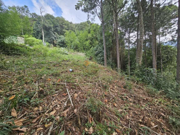 Imagem Terreno à Venda, 670 m² em Cascata Dos Amores - Teresópolis Imagem Terreno à Venda, 670 m² em Cascata Dos Amores - Teresópolis