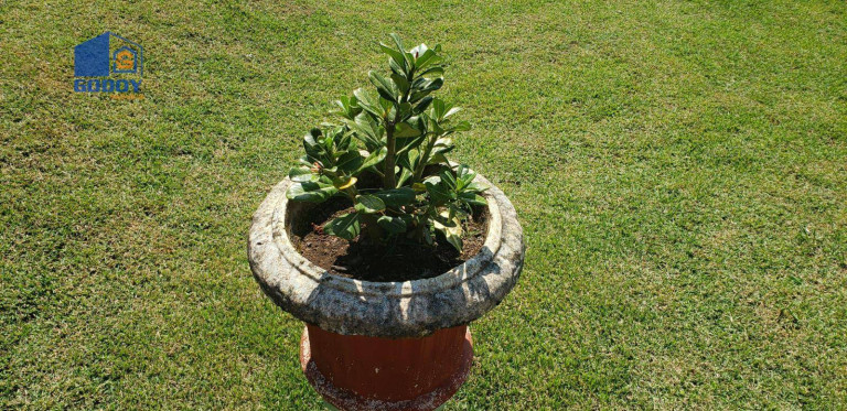 Imagem Chácara com 2 Quartos à Venda, 300 m² em Zona Rural - Chapada Dos Guimarães