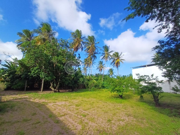 Imagem Terreno à Venda, 23.650 m² em Igapó - Natal Imagem Terreno à Venda, 23.650 m² em Igapó - Natal