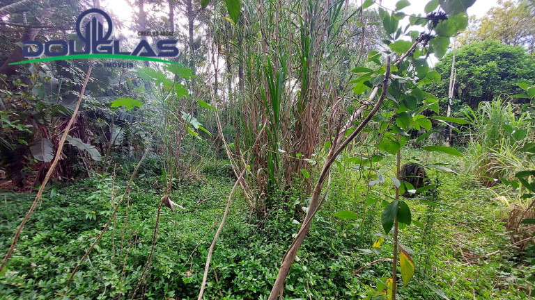 Imagem Terreno à Venda, 567 m² em águas Claras - Viamão