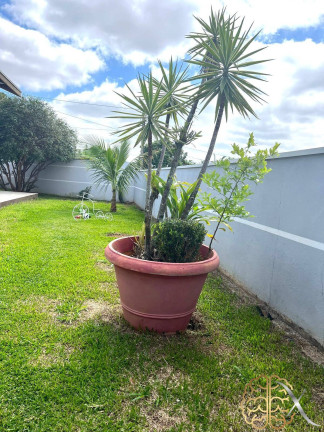 Imagem Chácara com 3 Quartos à Venda, 2 m² em Nossa Senhora Do Perpétuo Socorro - Pindamonhangaba