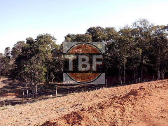 Imagem Terreno à Venda, 5.000 m² em Parateí - Santa Isabel Imagem Terreno à Venda, 5.000 m² em Parateí - Santa Isabel