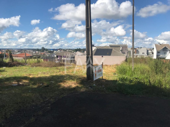 Imagem Terreno à Venda, 325 m² em Alto Da Xv - Guarapuava Imagem Terreno à Venda, 325 m² em Alto Da Xv - Guarapuava