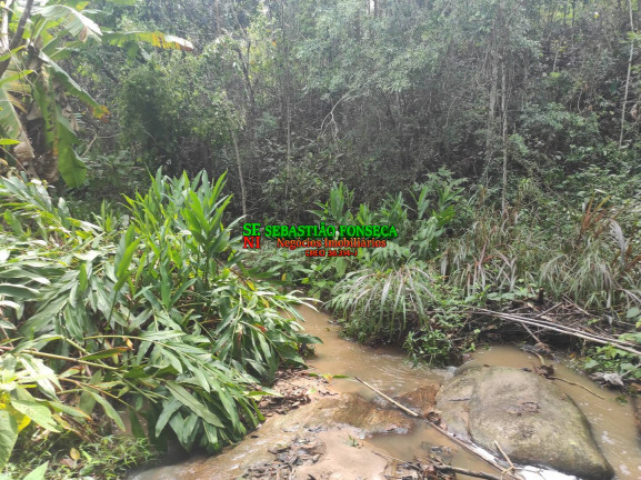Imagem Chácara à Venda, 20.000 m² em área Rural De Caçapava - Caçapava Imagem Chácara à Venda, 20.000 m² em área Rural De Caçapava - Caçapava