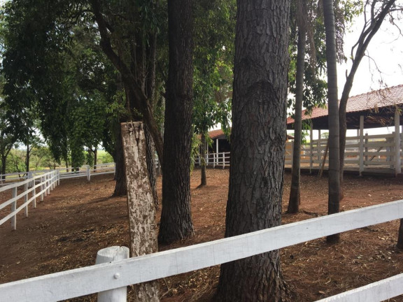 Imagem Chácara com 3 Quartos à Venda, 31 m² em Bauru