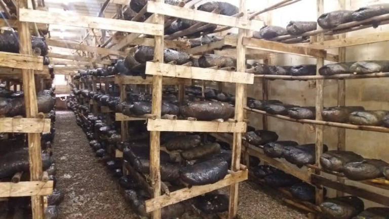 Imagem Chácara com 3 Quartos à Venda, 1.040 m² em Buquirinha - São José Dos Campos Imagem Chácara com 3 Quartos à Venda, 1.040 m² em Buquirinha - São José Dos Campos